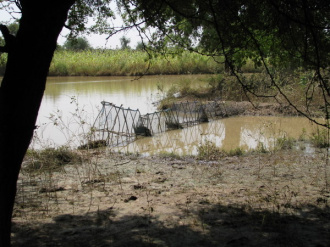 03 Paniers A Poisson